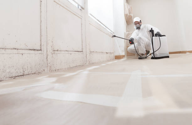 24/7 Emergency Mold Remediation experts in Murfreesboro, NC